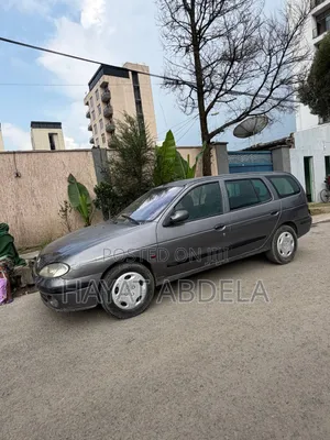 Renault Megane 2003 Gray