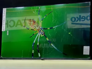 Infinex 55inch TV
