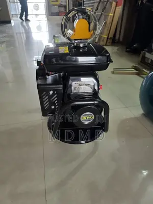 Viveritor Robin Ey20