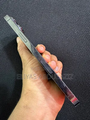 Apple iPhone 13 Pro Max 128 GB Graphite