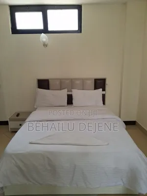 Furnished Studio Apartment in Lucysabrin Guest, Bole for rent