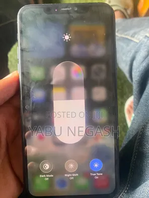 Apple iPhone 11 Pro Max 256 GB Gray