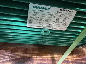 Surface Water Pump