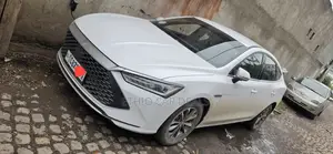 BYD Qin Plus DM-i 2025 White
