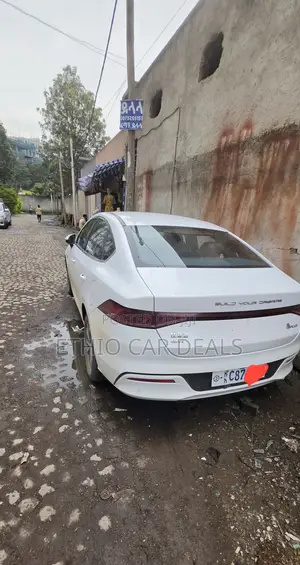 BYD Qin Plus DM-i 2025 White