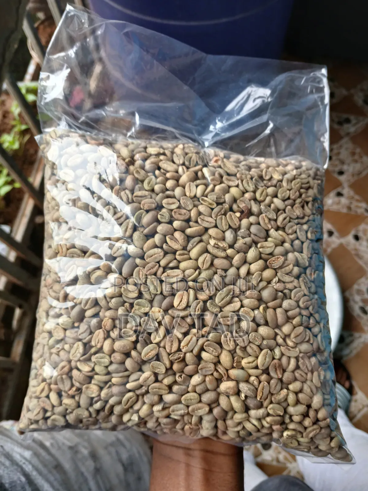 Jimma Buna