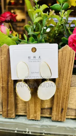 Marvelous Gift Earrings