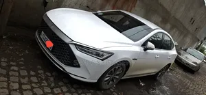 BYD Qin Plus DM-i 2025 White