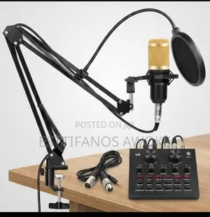 Microphone