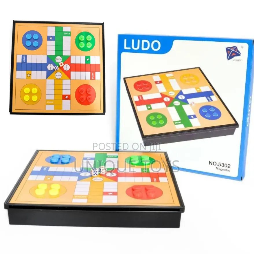 Magnetic Ludo Board Game Let the Family Game Begin