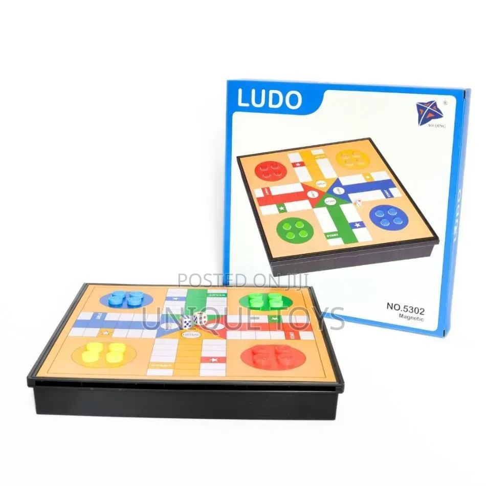 Magnetic Ludo Board Game Let the Family Game Begin