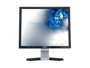 Dell 17 Inch Monitor