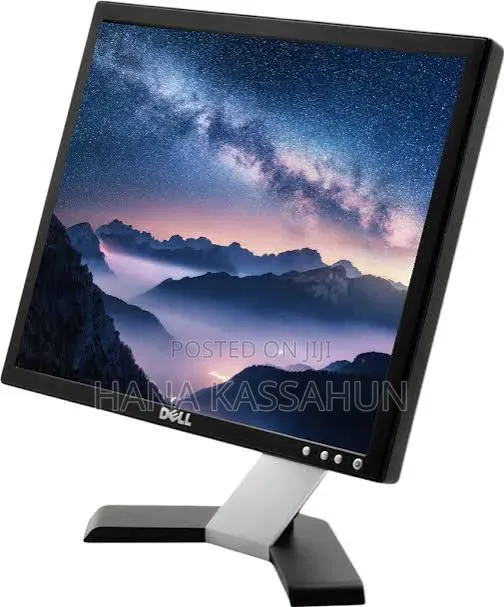 Dell 17 Inch Monitor