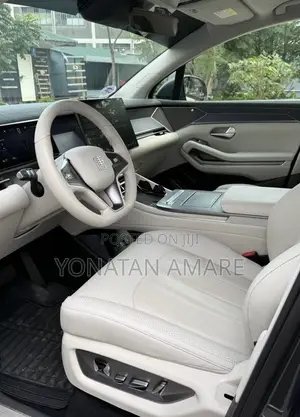 BYD Tang EV 2025 Gray