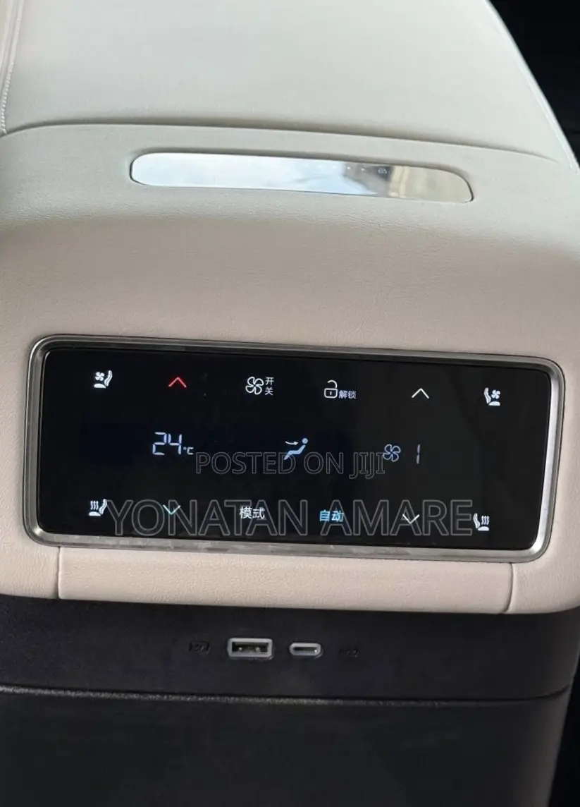 BYD Tang EV 2025 Gray