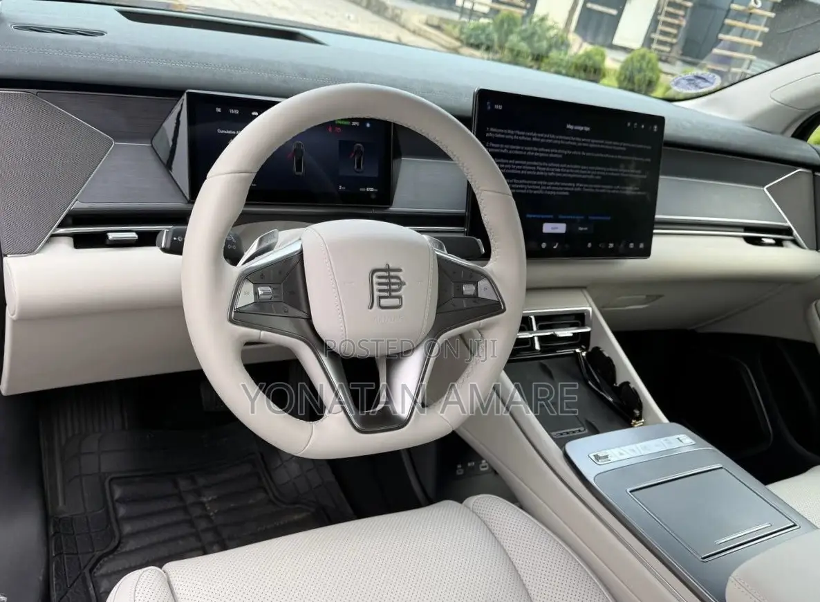 BYD Tang EV 2025 Gray