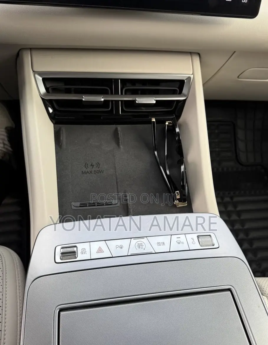BYD Tang EV 2025 Gray