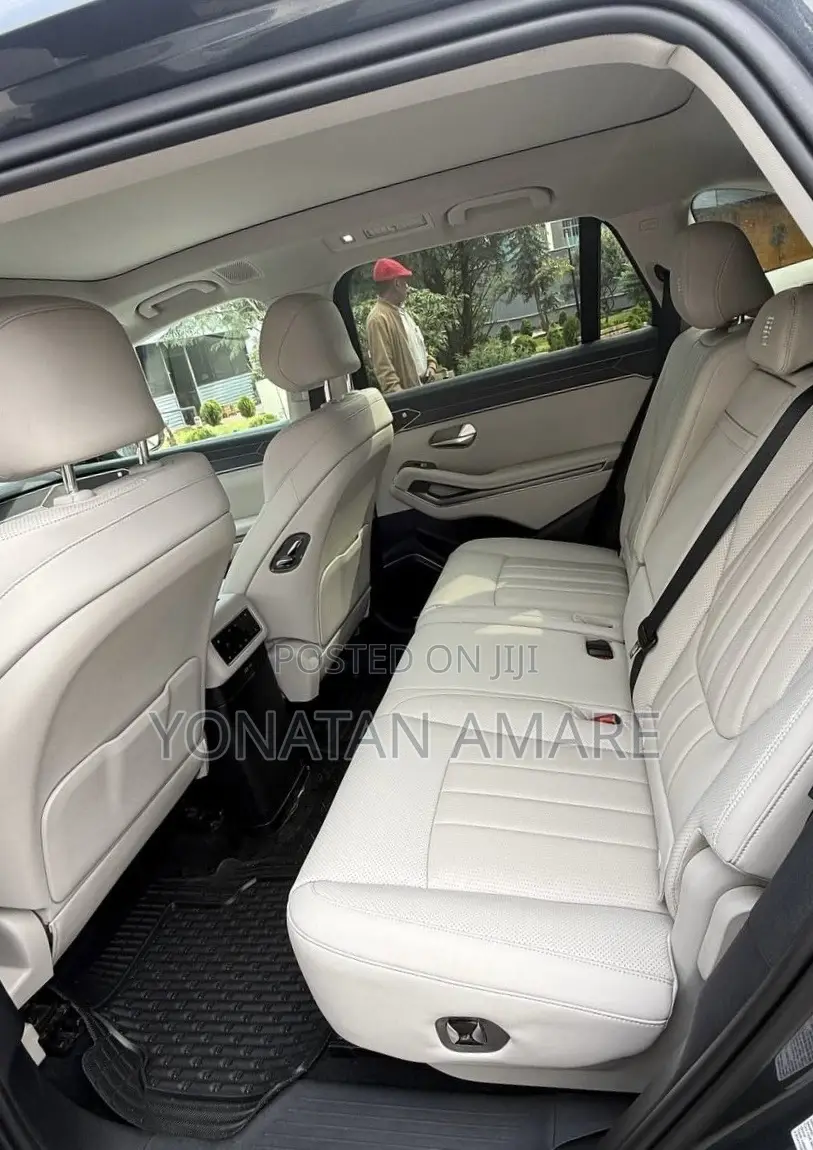 BYD Tang EV 2025 Gray