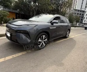 BYD Tang EV 2025 Gray