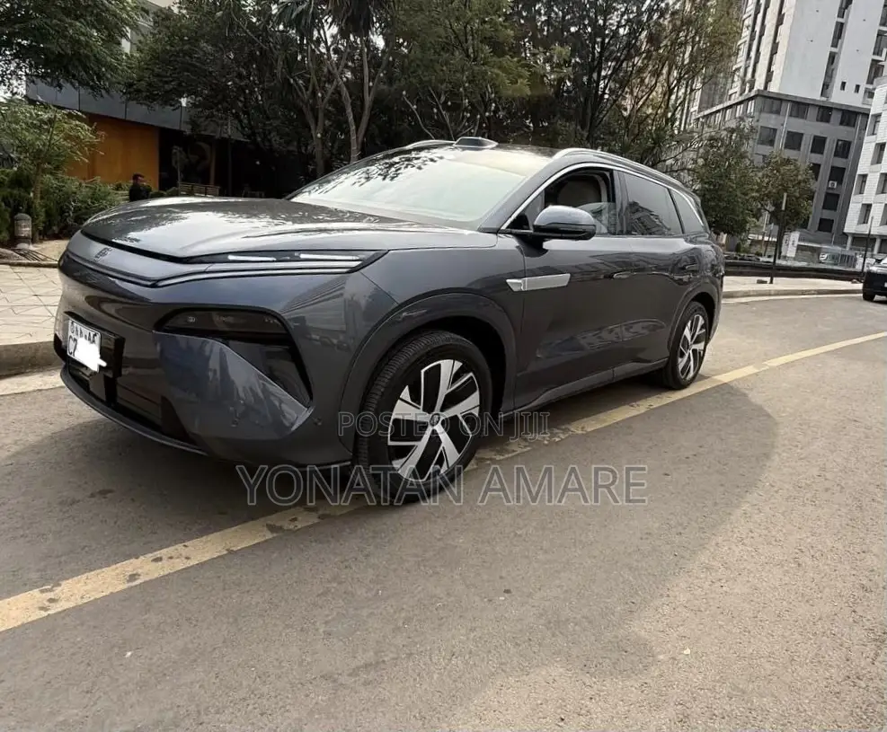 BYD Tang EV 2025 Gray