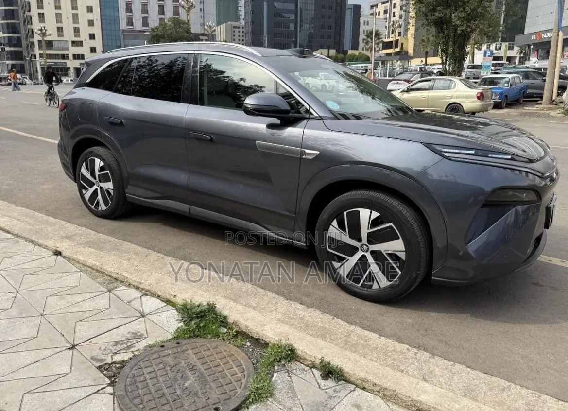 BYD Tang EV 2025 Gray