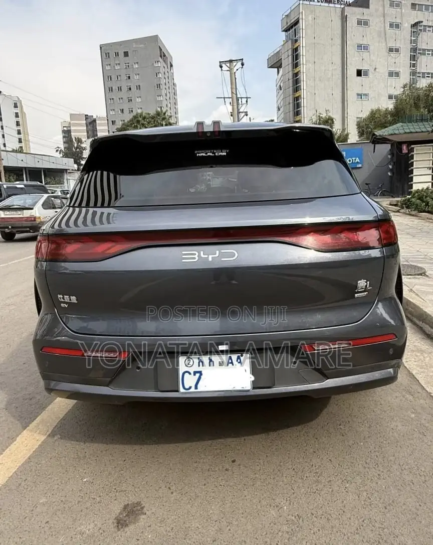 BYD Tang EV 2025 Gray
