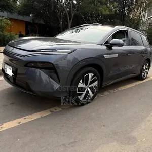 BYD Tang EV 2025 Gray