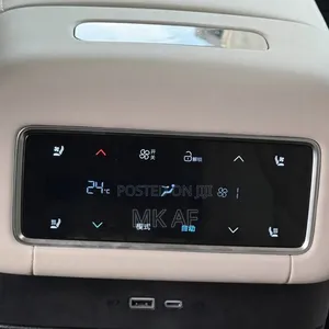 BYD Tang EV 2025 Gray