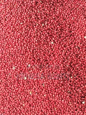 Peanut Groundnut