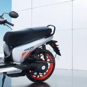 New Motorcycle 2025