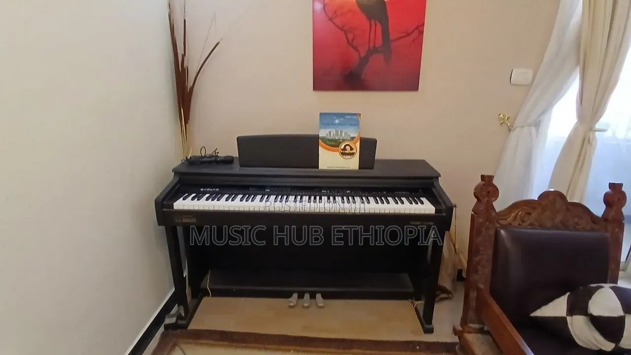 Young Chang Digital Piano