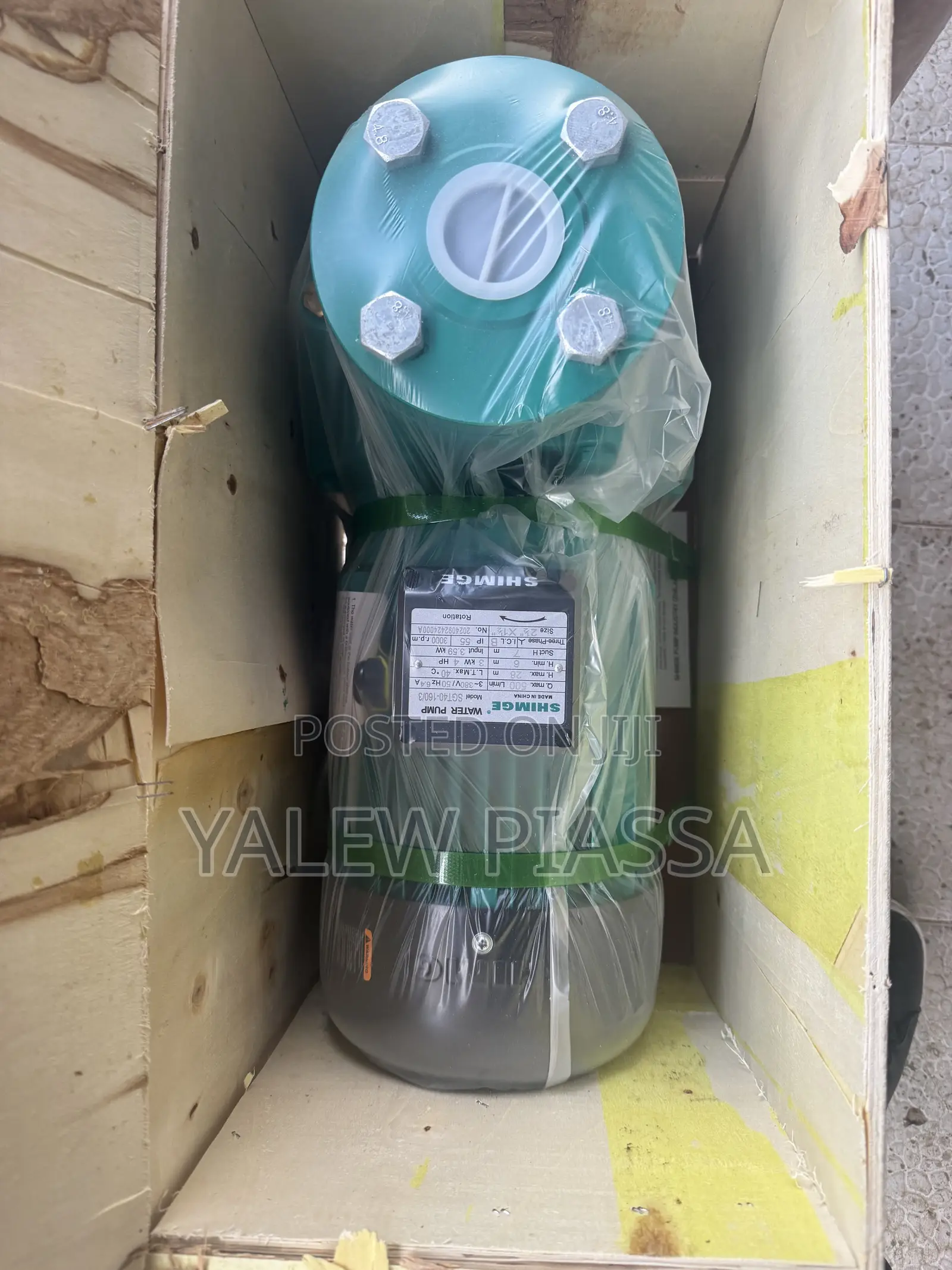 Shimge SGT40-160/3 Three-Phase Water Pump With