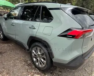 Toyota RAV4 Limited 2021 Gray