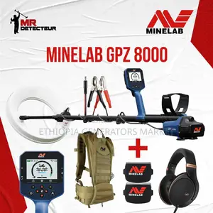 GPZ 8000 Gold Detector | Professional Gold Prospecting