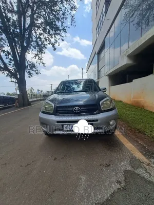 Toyota RAV4 2005 Gray