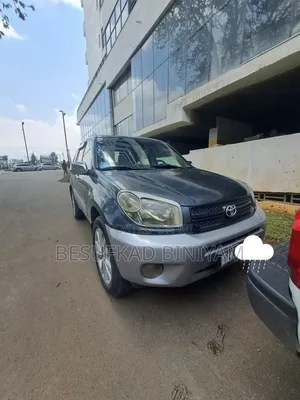 Toyota RAV4 2005 Gray