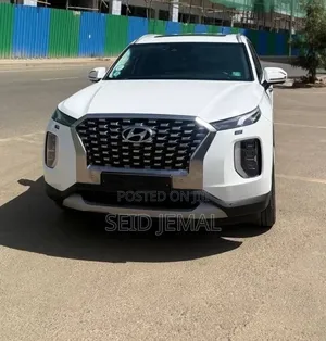 Hyundai Palisade 2022 White