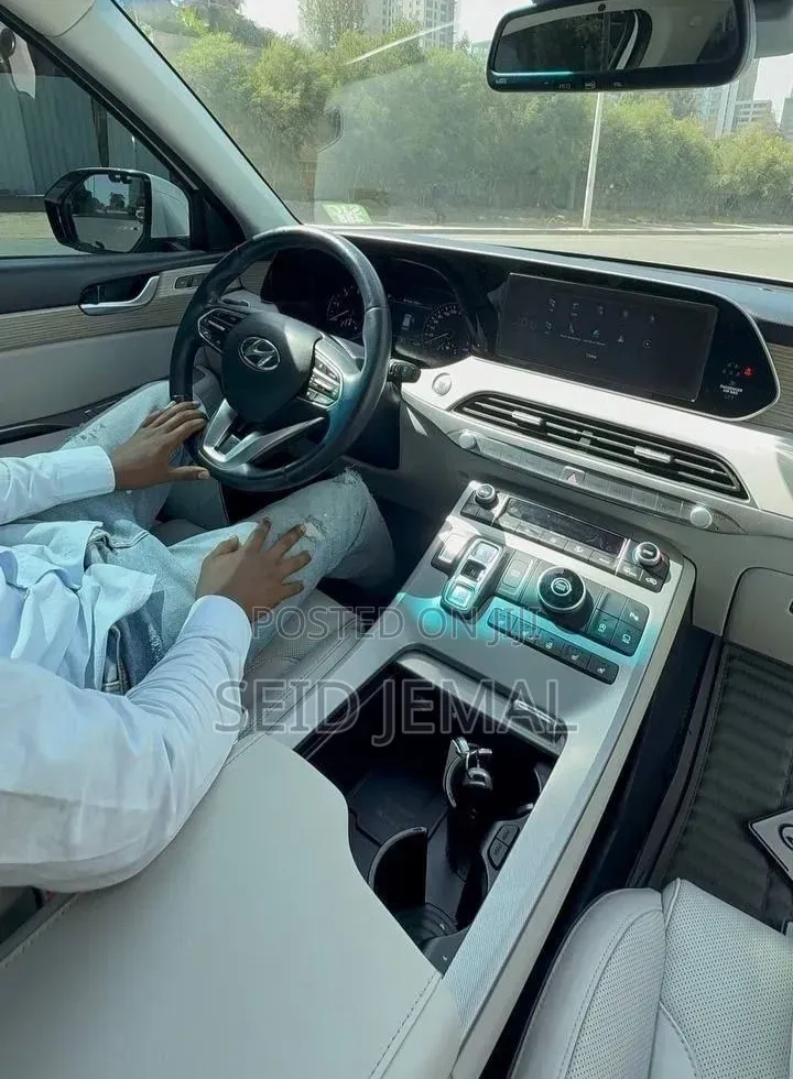 Hyundai Palisade 2022 White