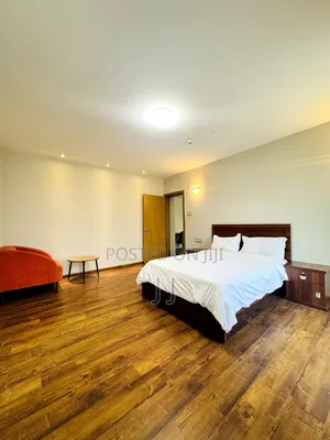 Furnished 3bdrm Apartment in Bole for rent