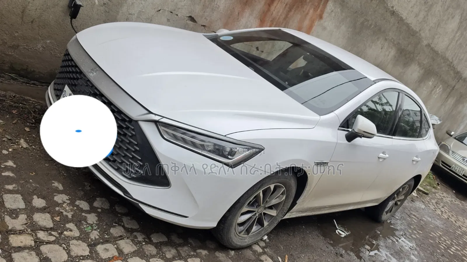 BYD Qin Plus DM-i 2025 White