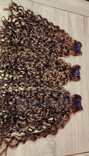 Ocean Wave 20 Inch Highlight 2pcs Human Hair