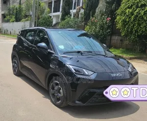 BYD Seagull 2024 Black