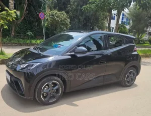 BYD Seagull 2024 Black