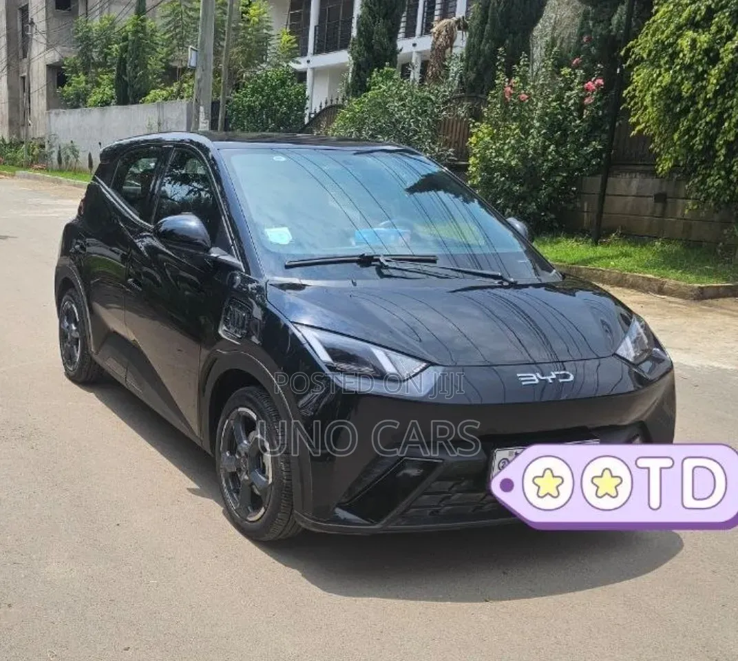 BYD Seagull 2024 Black