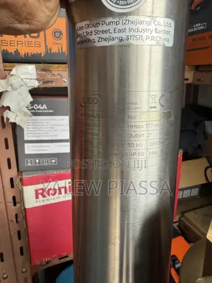Leo Stainless Steel Deep Well Submersible Borehole Water Pump