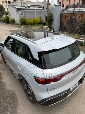 BYD Yuan Up 2024