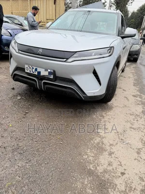 BYD Yuan Up 2024