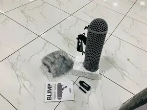 የድምፅ Blimp
