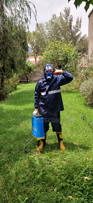 Pest Controll Fumigation Service