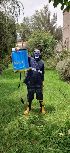 Pest Controll Fumigation Service